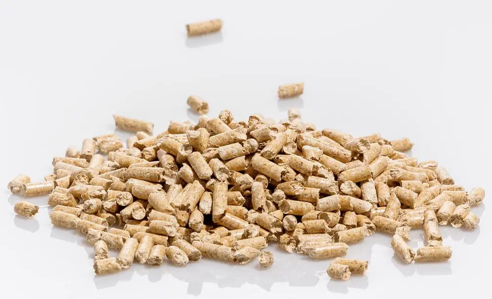 Holzpellets in Nahaufnahme